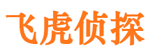 潼关侦探公司